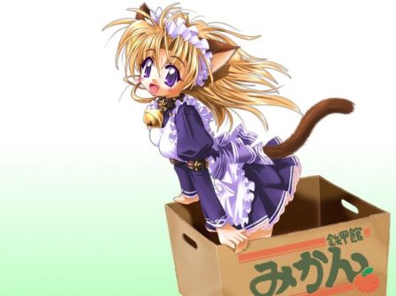 maotd_loli_nekomimi.jpeg
