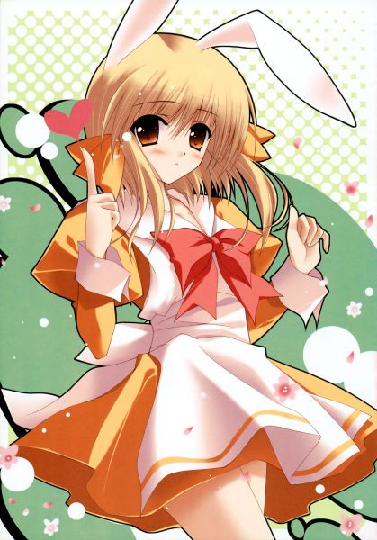 maotd_bunny.jpg, sept. 2009 maotd_bunny.jpg