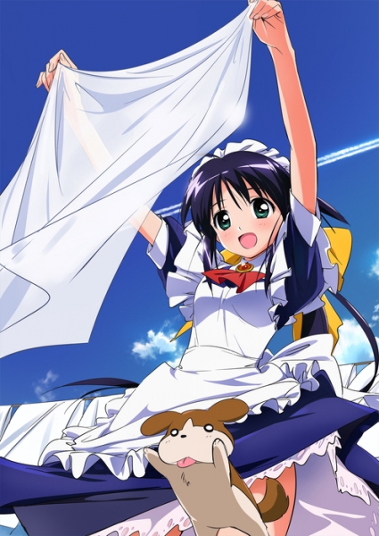 maotd_mahoro_laundry