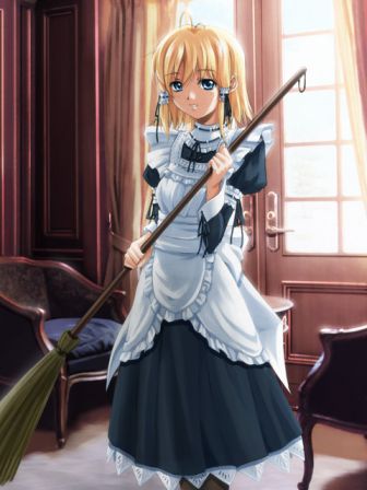 maotd_broom.jpg