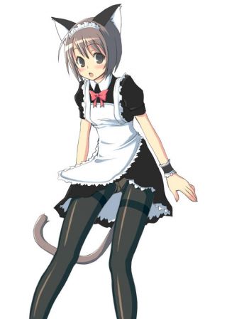 maotd_neko_pantyhose.jpg