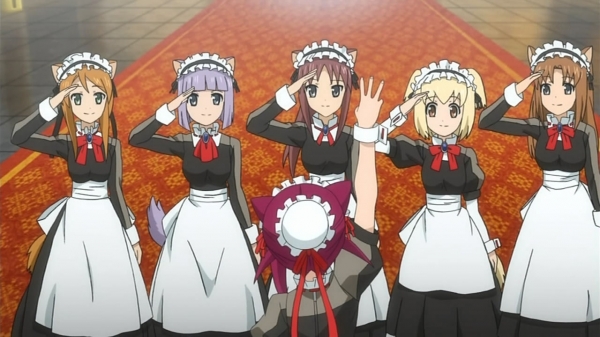 dog-days-01-large-34