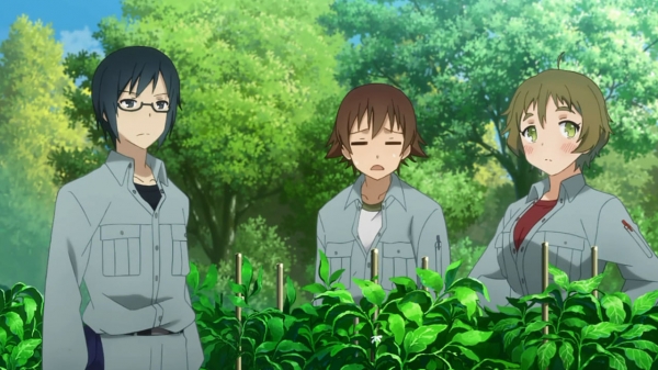 no-rin
