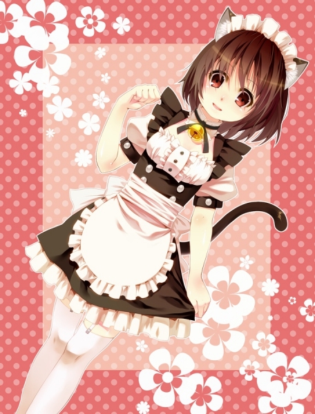 maotd_catgirl-nomu