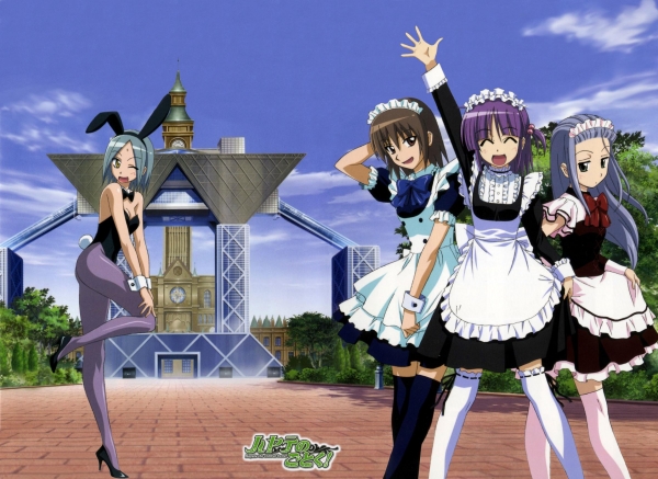maotd_hayatenogotoku_bunnygirl