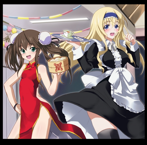 maotd_infinitestratos_qipao